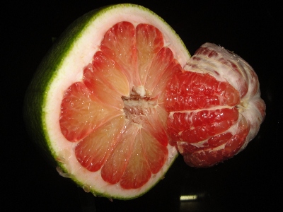 Pomelo pink