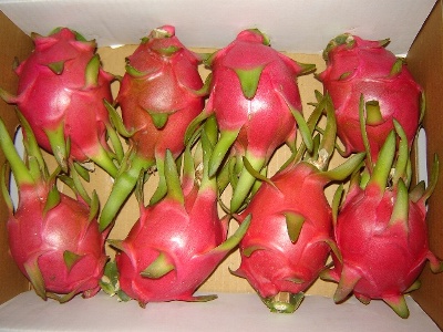 Dragon fruit white flesh