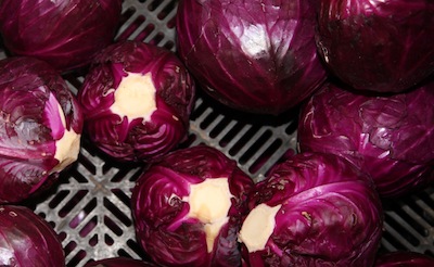 Purple cabbage