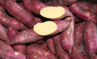 Yellow sweet potato